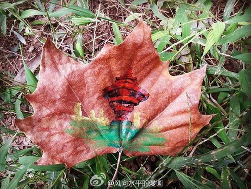 Paintings on fallen leaves showcase city beauty