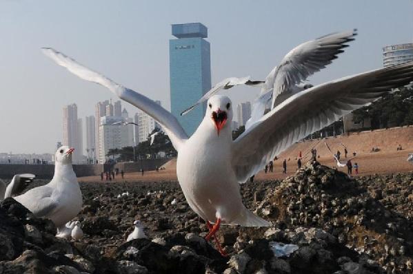 Astronomical tide brings spectacular view to Qingdao