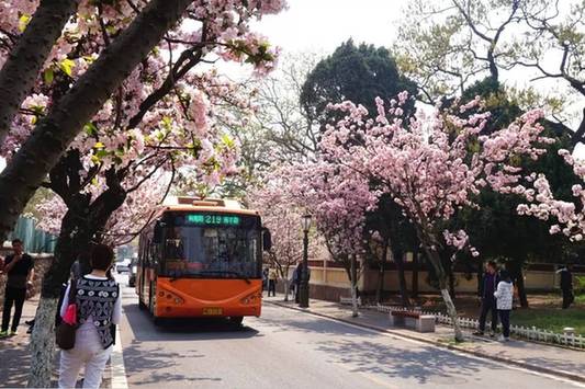 Qingdao: China's sailing city