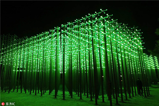 'Beer forest' lights up Qingdao