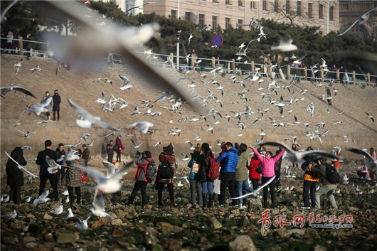 Photographer's nostalgia for Qingdao