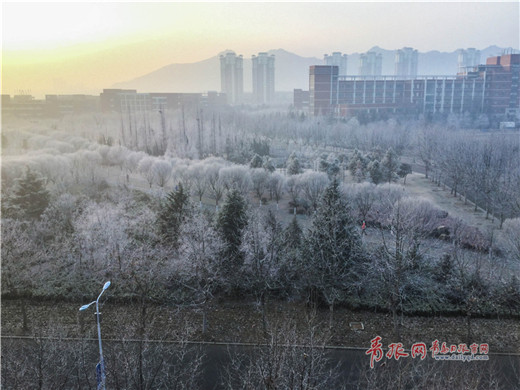 Rime creates a wonderful winter scene in Qingdao